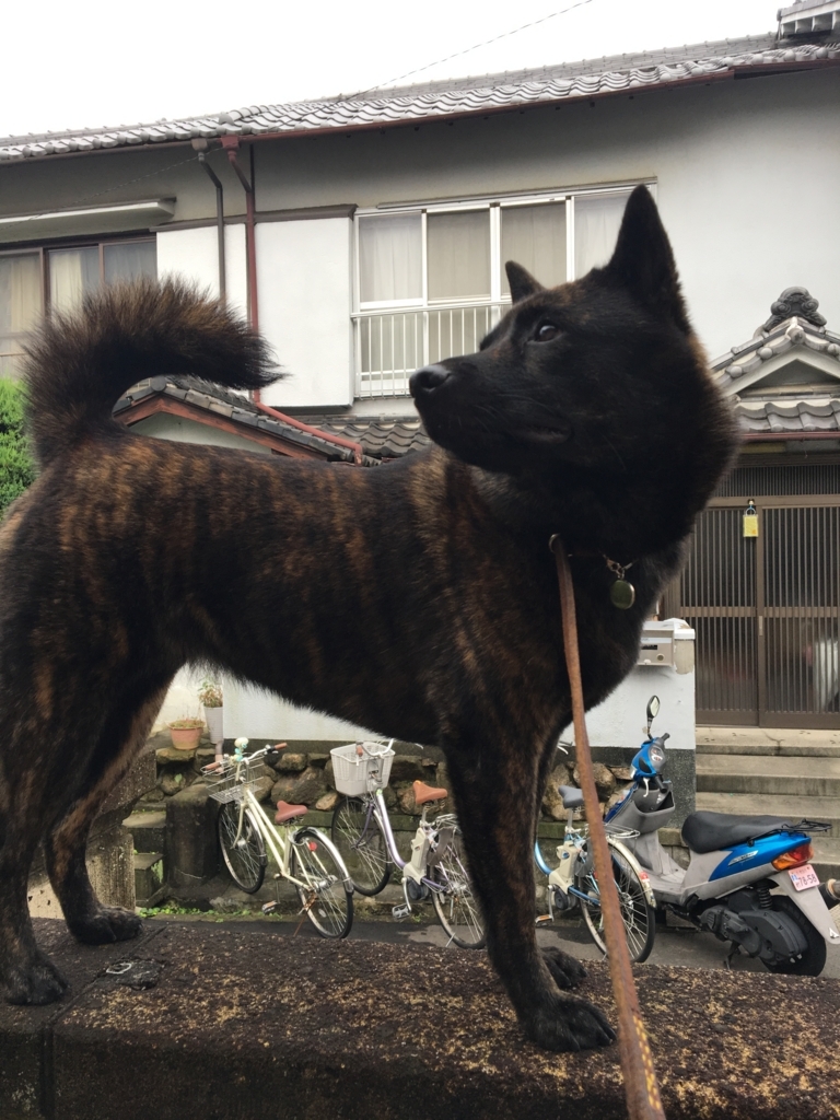 f:id:drunkard_kim:20170816074459j:plain