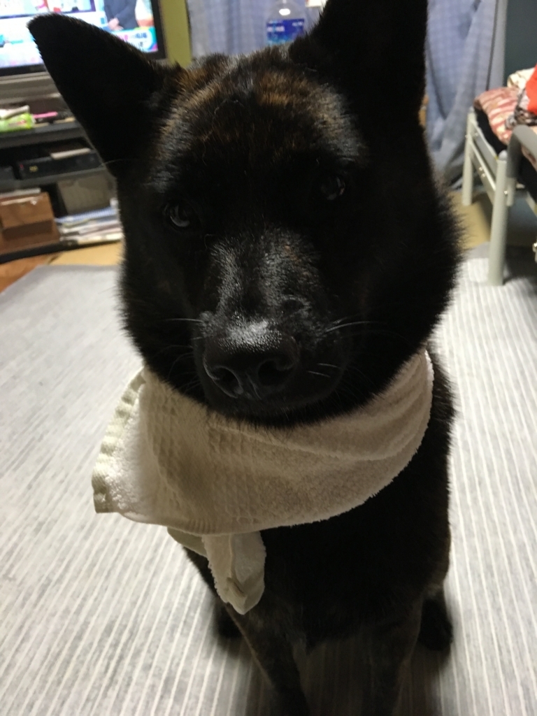 f:id:drunkard_kim:20170818080402j:plain