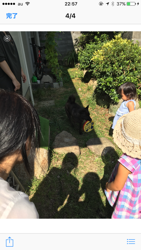 f:id:drunkard_kim:20170820225811p:plain