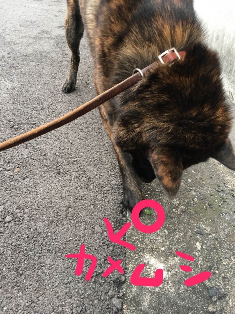 f:id:drunkard_kim:20170916054629j:plain
