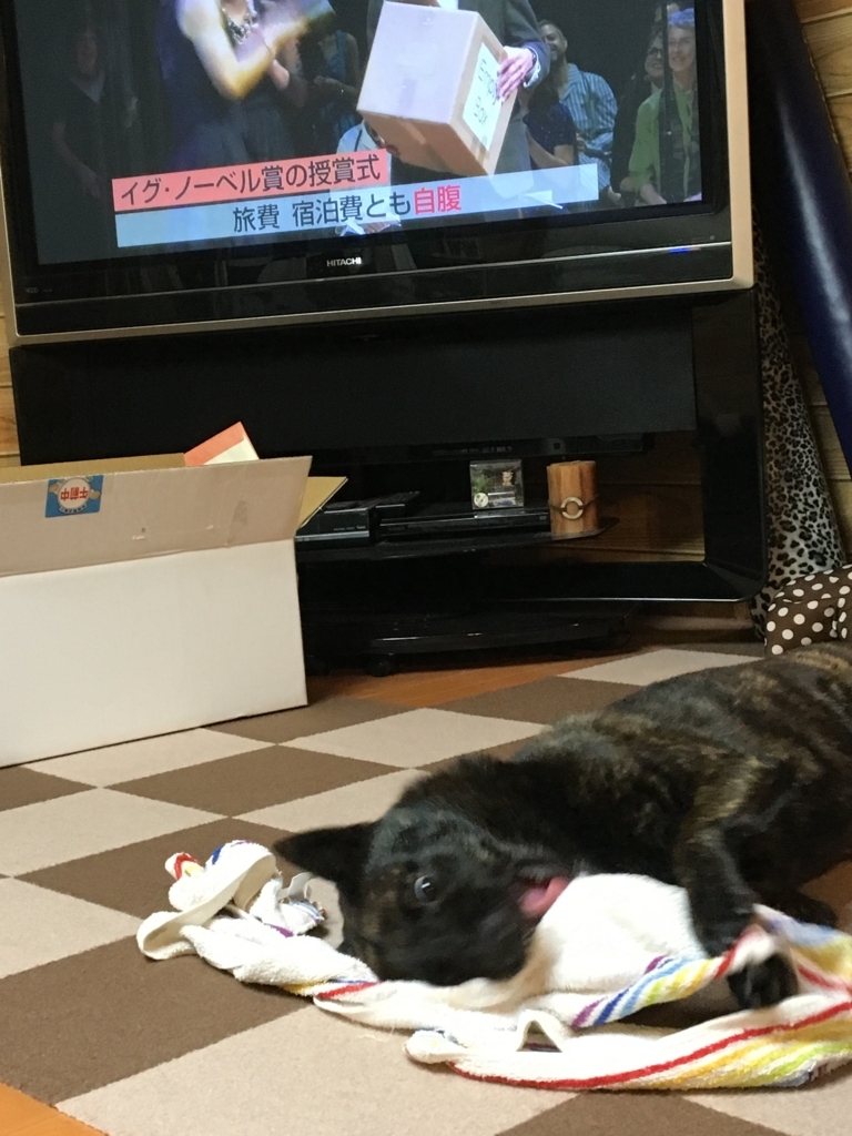 f:id:drunkard_kim:20170917075447j:plain