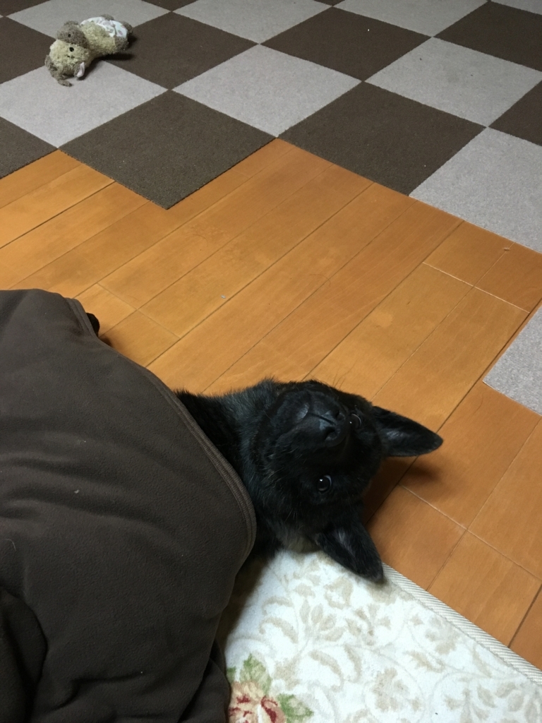 f:id:drunkard_kim:20170919074229j:plain