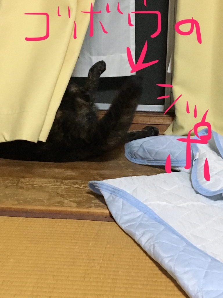 f:id:drunkard_kim:20170926074445j:plain