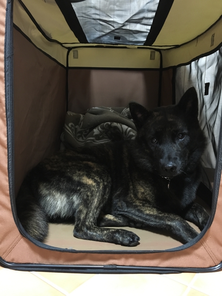 f:id:drunkard_kim:20170928063021j:plain