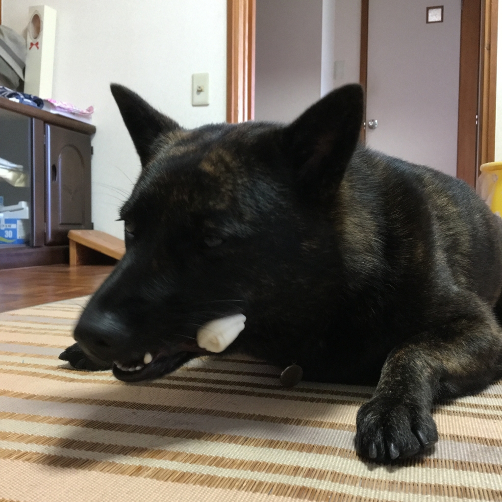 f:id:drunkard_kim:20170929075701j:plain f:id:drunkard_kim:20170929075701j:plain