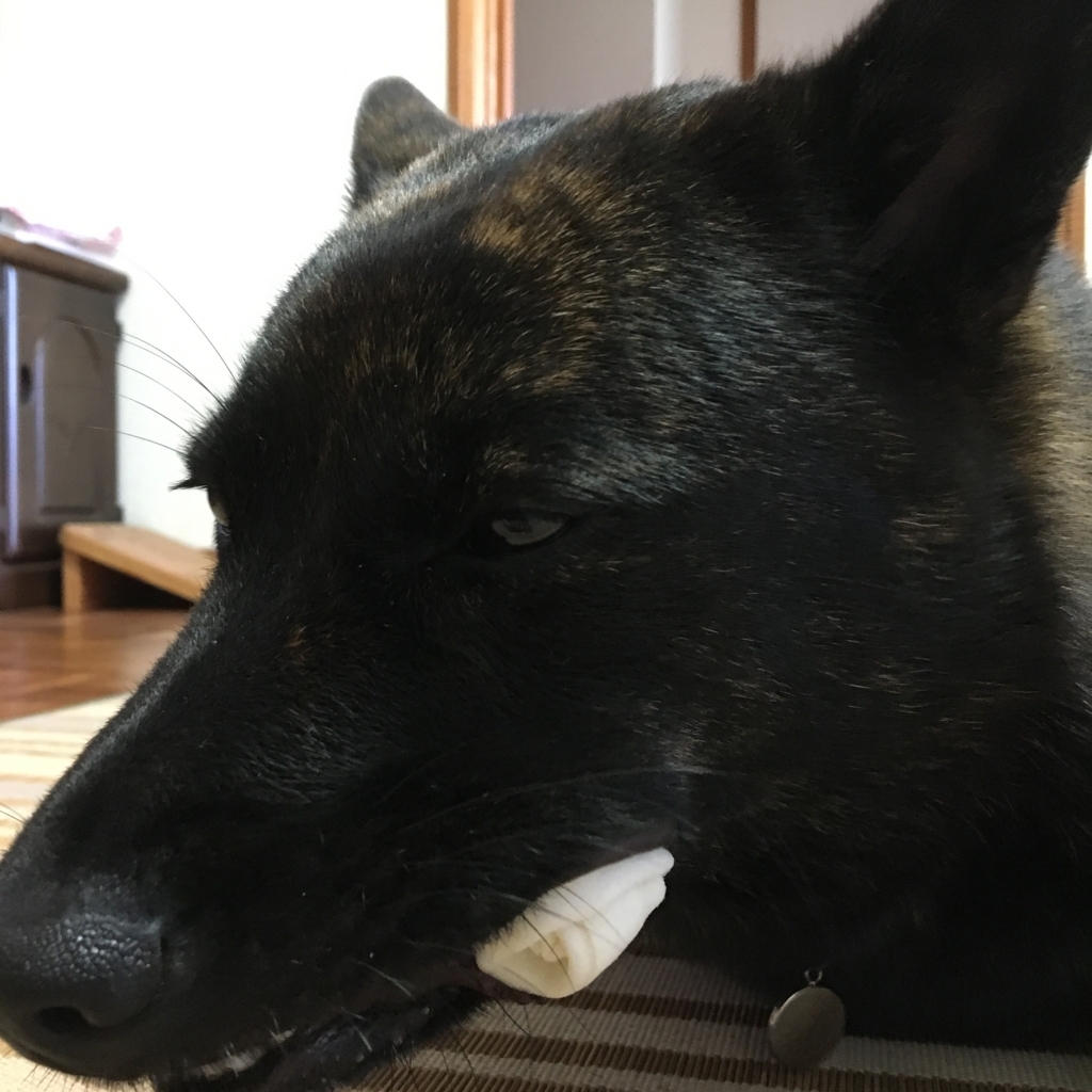 f:id:drunkard_kim:20170929080123j:plain f:id:drunkard_kim:20170929080123j:plain