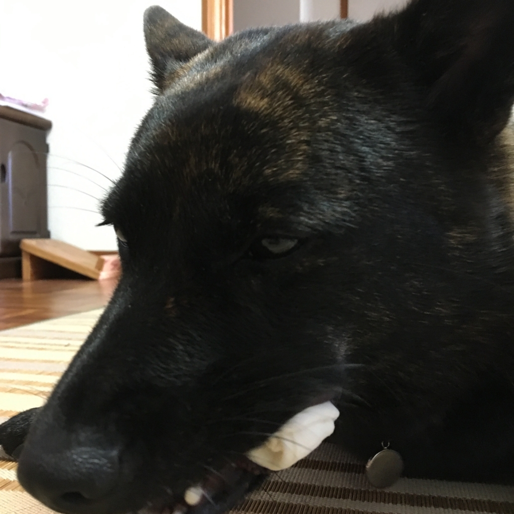 f:id:drunkard_kim:20170929080149j:plain f:id:drunkard_kim:20170929080149j:plain