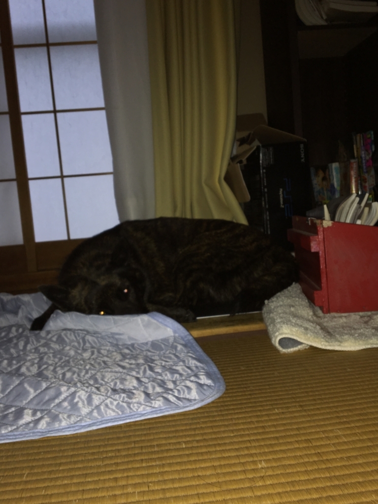 f:id:drunkard_kim:20171002074533j:plain