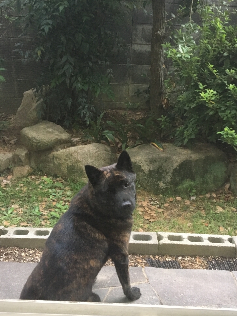 f:id:drunkard_kim:20171006074042j:plain