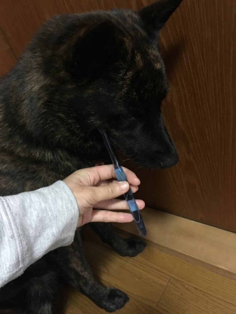 f:id:drunkard_kim:20171009075408j:plain