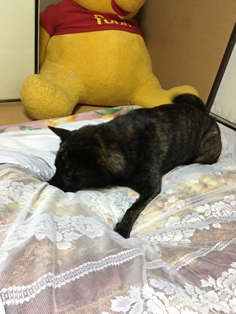 f:id:drunkard_kim:20171023080058j:plain