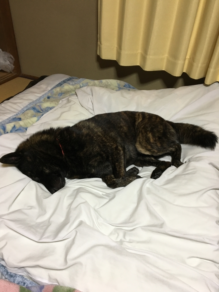 f:id:drunkard_kim:20171026063453j:plain