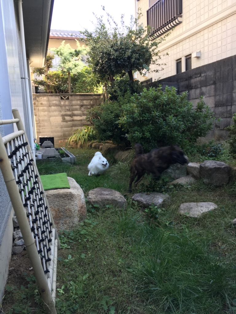 f:id:drunkard_kim:20171031092849j:plain