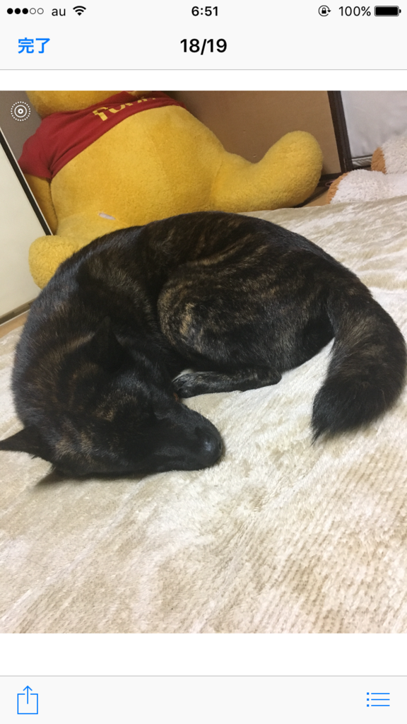 f:id:drunkard_kim:20171104065149p:plain