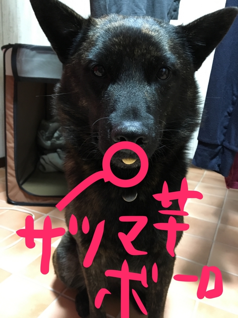 f:id:drunkard_kim:20171124074803j:plain