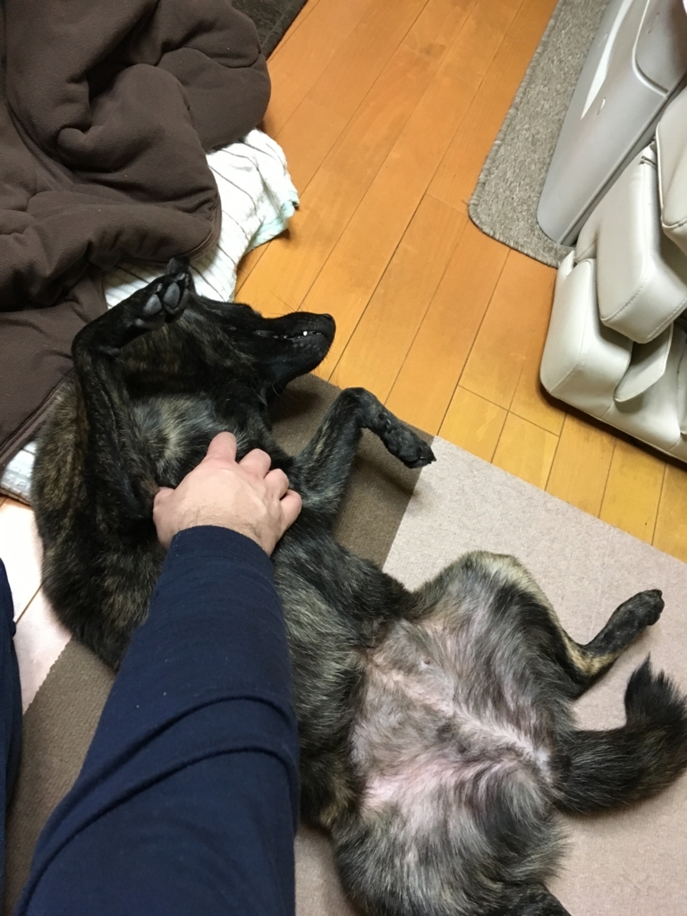 f:id:drunkard_kim:20171202080528j:plain