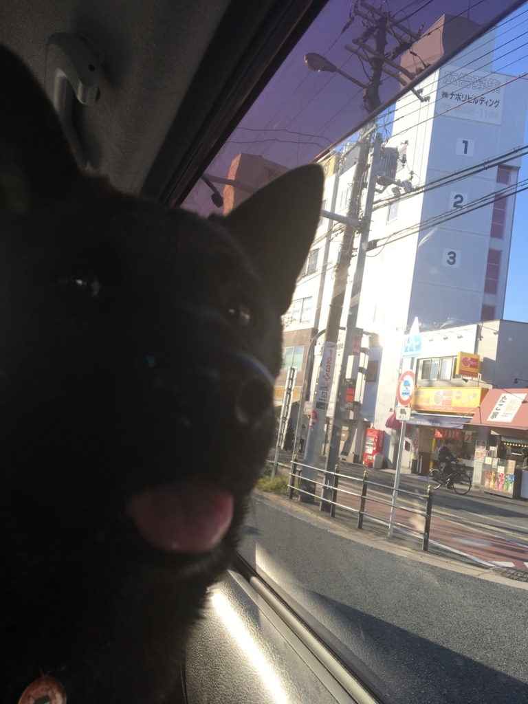 f:id:drunkard_kim:20171203153304j:plain