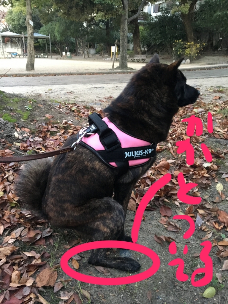 f:id:drunkard_kim:20171206074718j:plain
