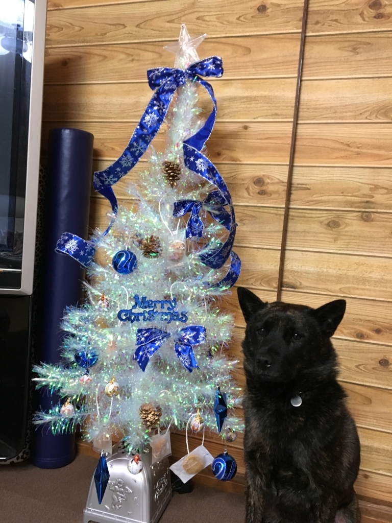 f:id:drunkard_kim:20171210072958j:plain