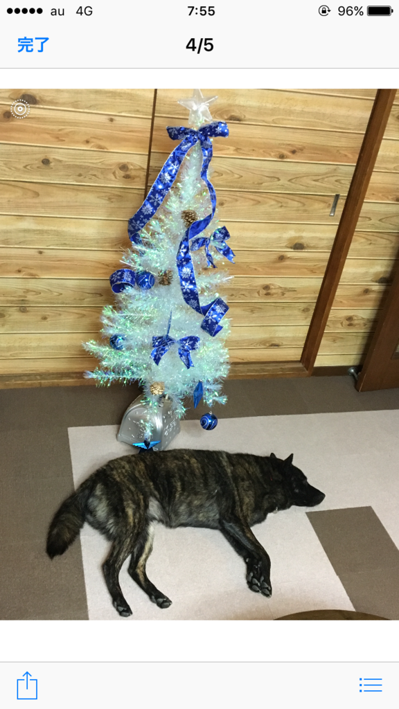 f:id:drunkard_kim:20171211075546p:plain