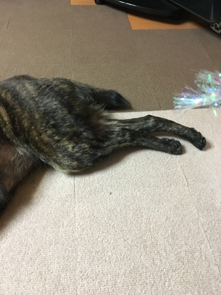 f:id:drunkard_kim:20171211075653j:plain