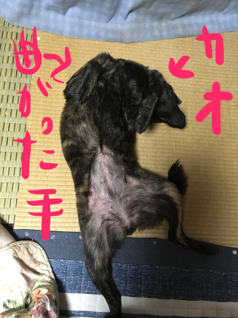 f:id:drunkard_kim:20171214075542j:plain