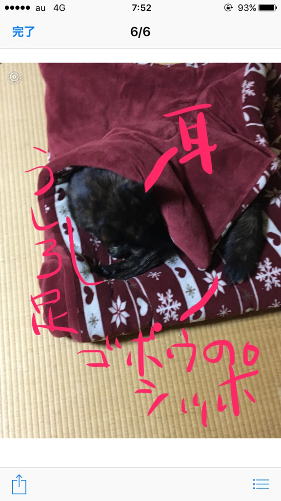 f:id:drunkard_kim:20171215075508p:plain