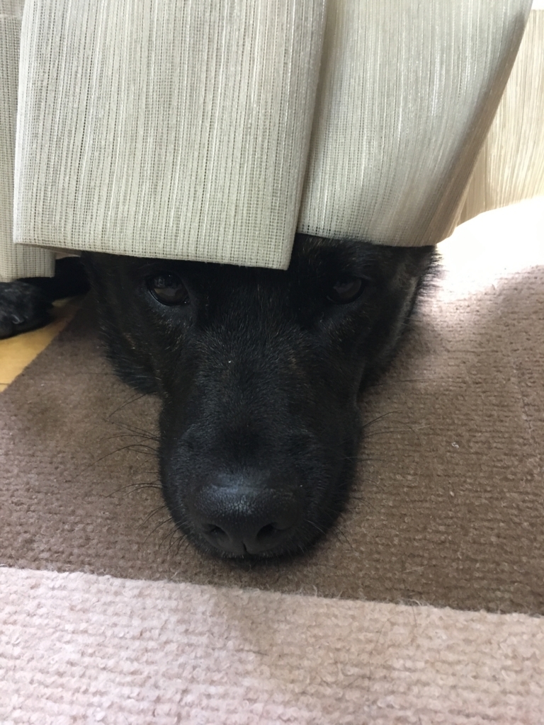 f:id:drunkard_kim:20180107130138j:plain