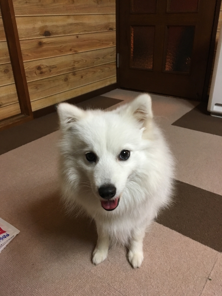 f:id:drunkard_kim:20180115075718j:plain