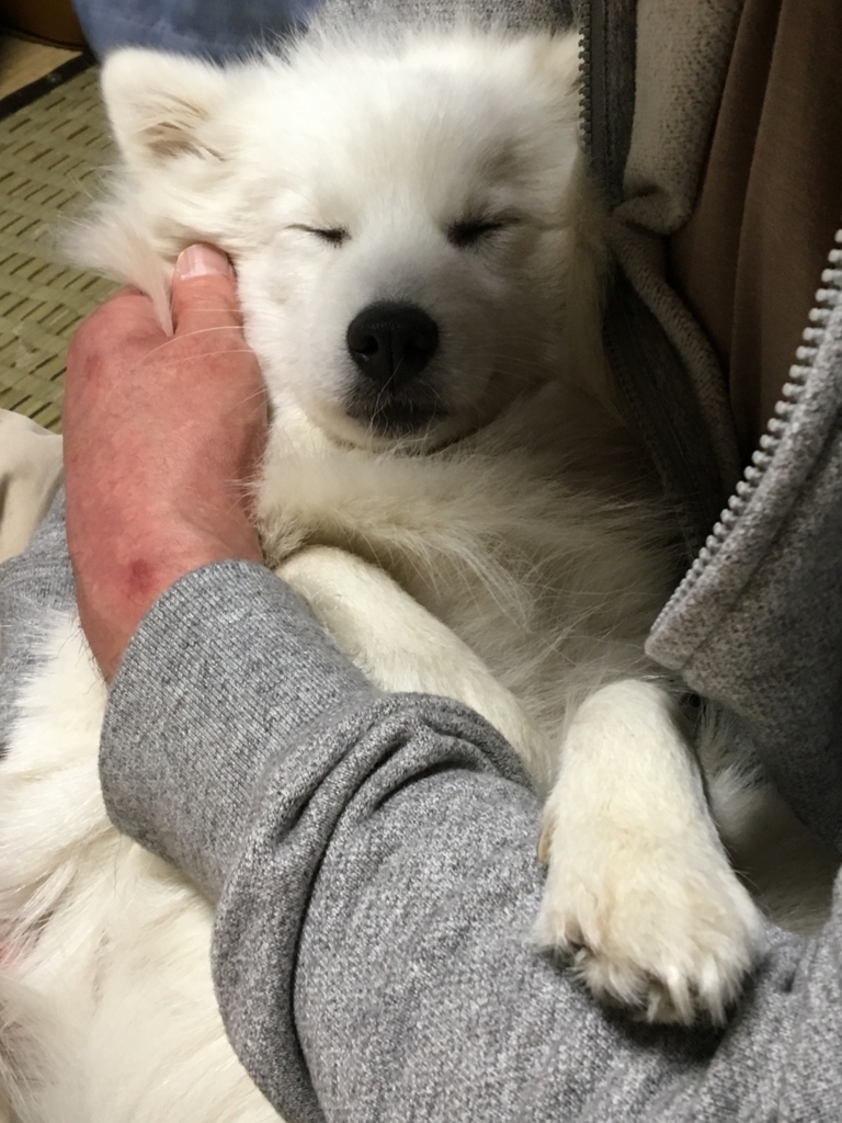 f:id:drunkard_kim:20180116105906j:plain