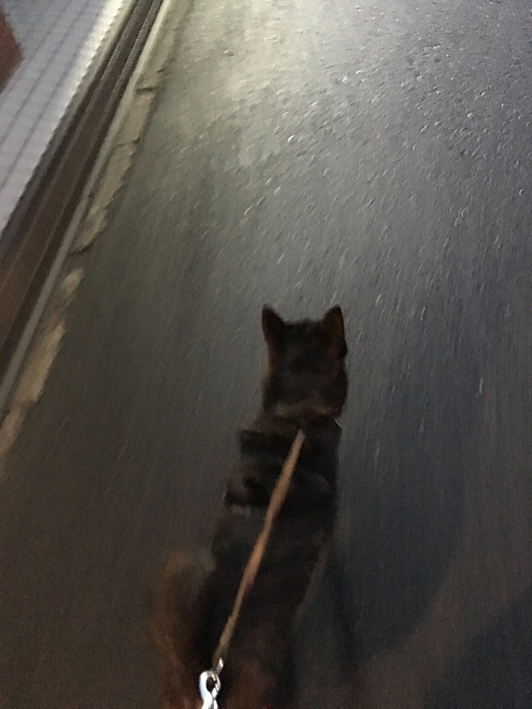 f:id:drunkard_kim:20180118080500j:plain