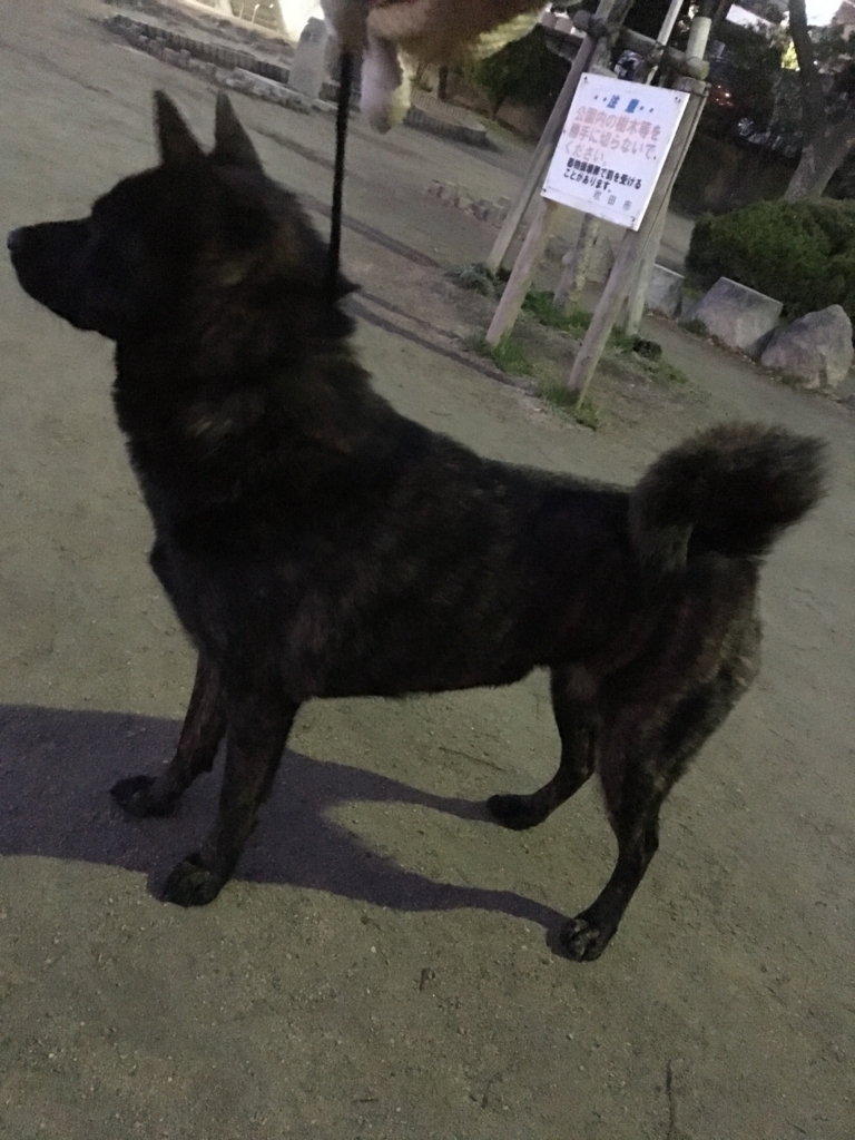 f:id:drunkard_kim:20180119080956j:plain