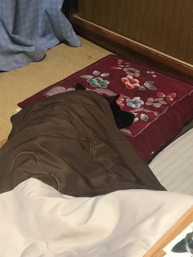 f:id:drunkard_kim:20180120080720j:plain
