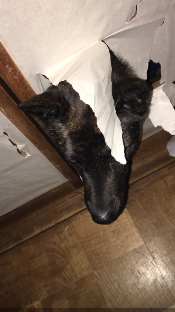 f:id:drunkard_kim:20180128224132p:plain