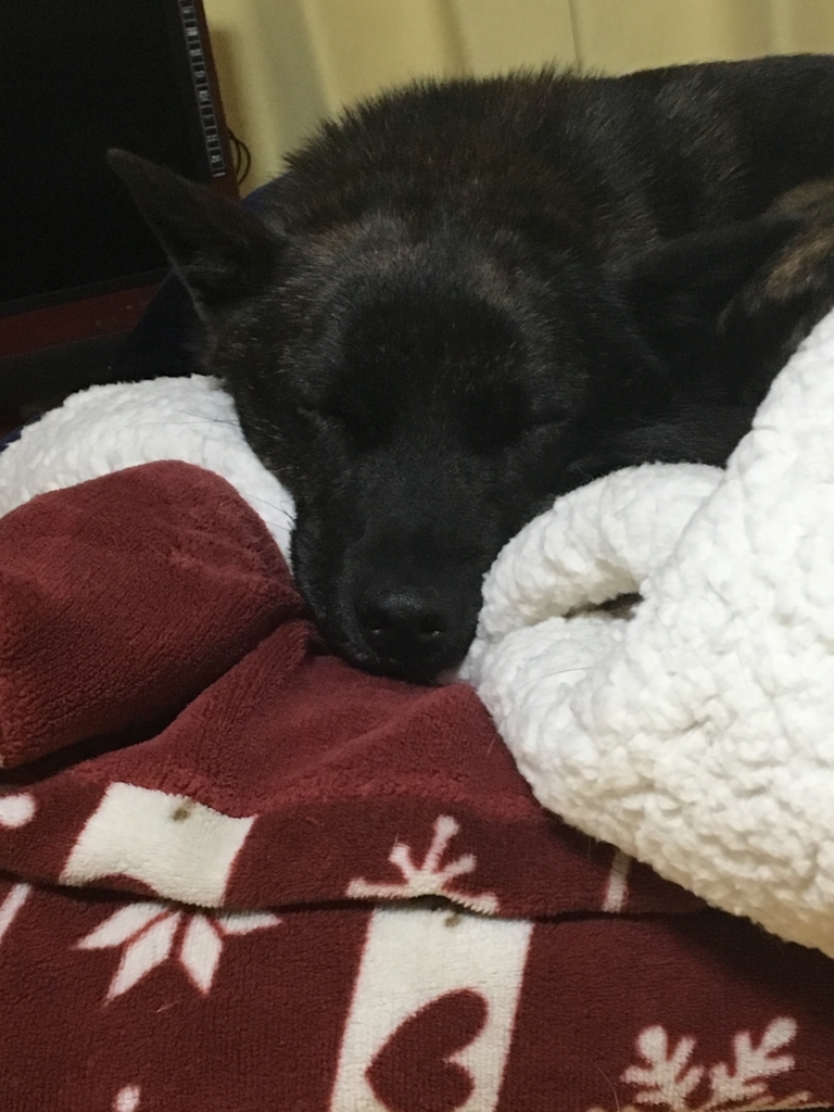 f:id:drunkard_kim:20180202064430j:plain