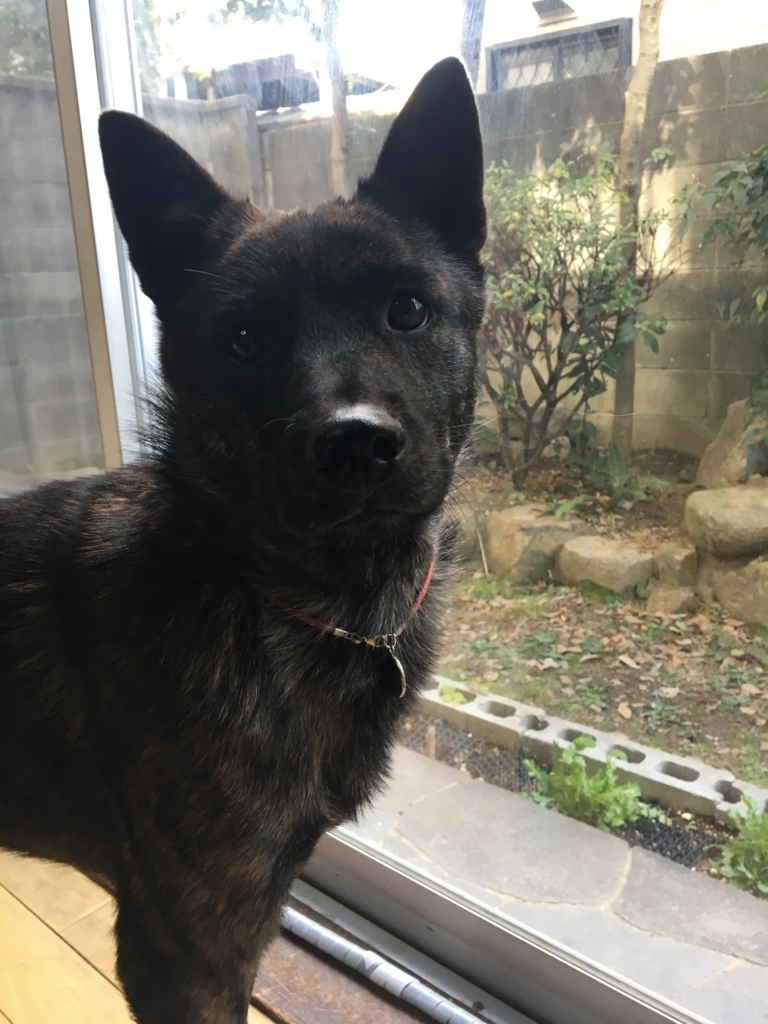 f:id:drunkard_kim:20180204182507j:plain