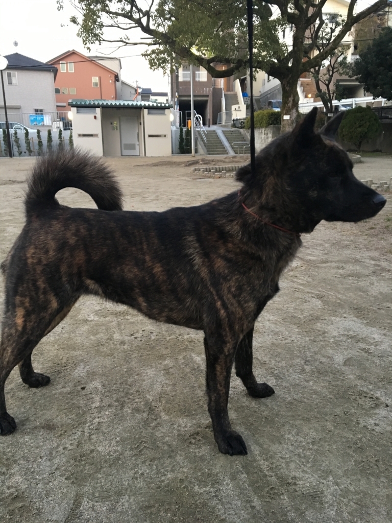 f:id:drunkard_kim:20180212075601j:plain