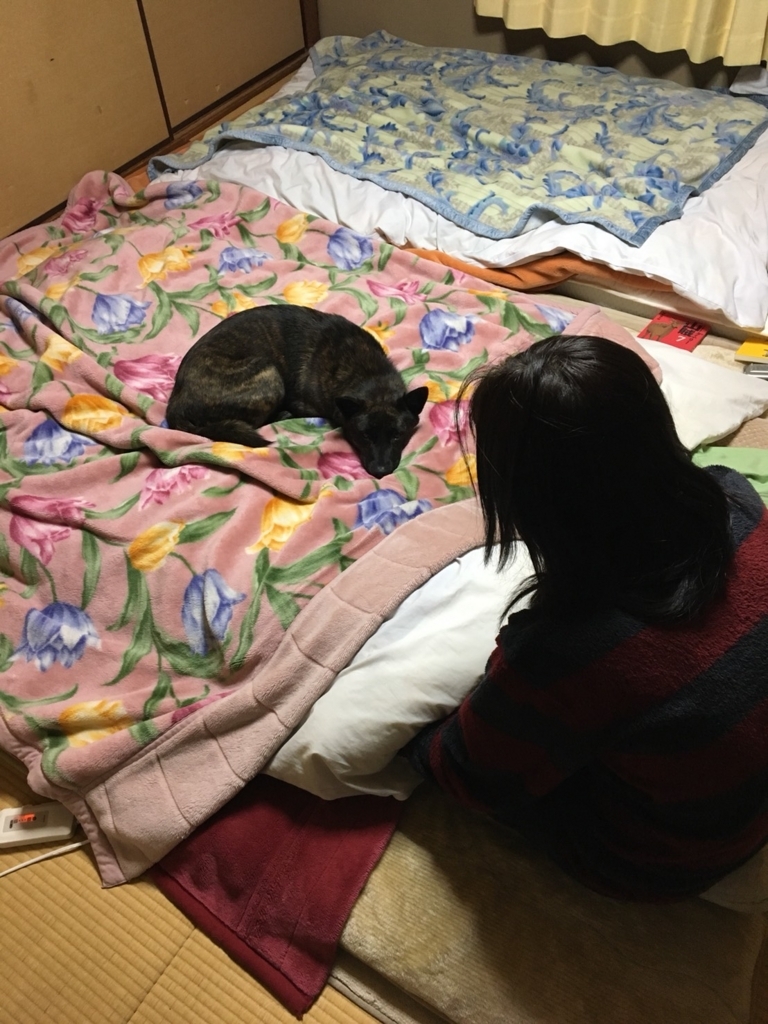 f:id:drunkard_kim:20180215075800j:plain