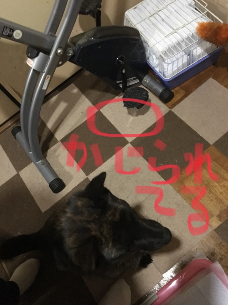 f:id:drunkard_kim:20180218193213j:plain