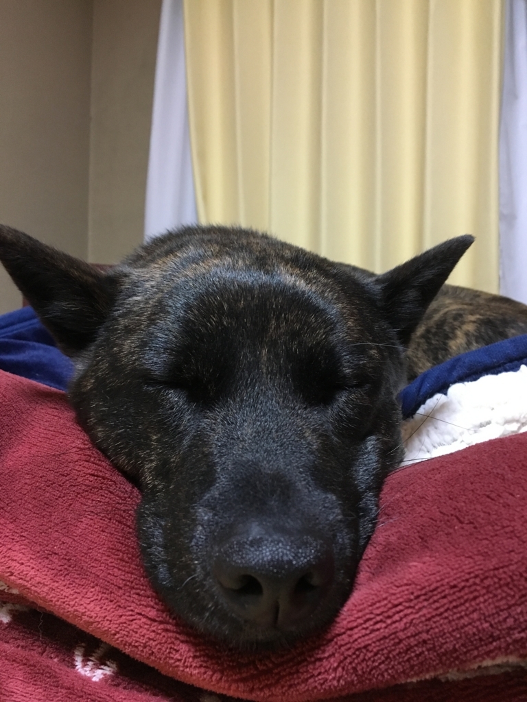 f:id:drunkard_kim:20180219080404j:plain
