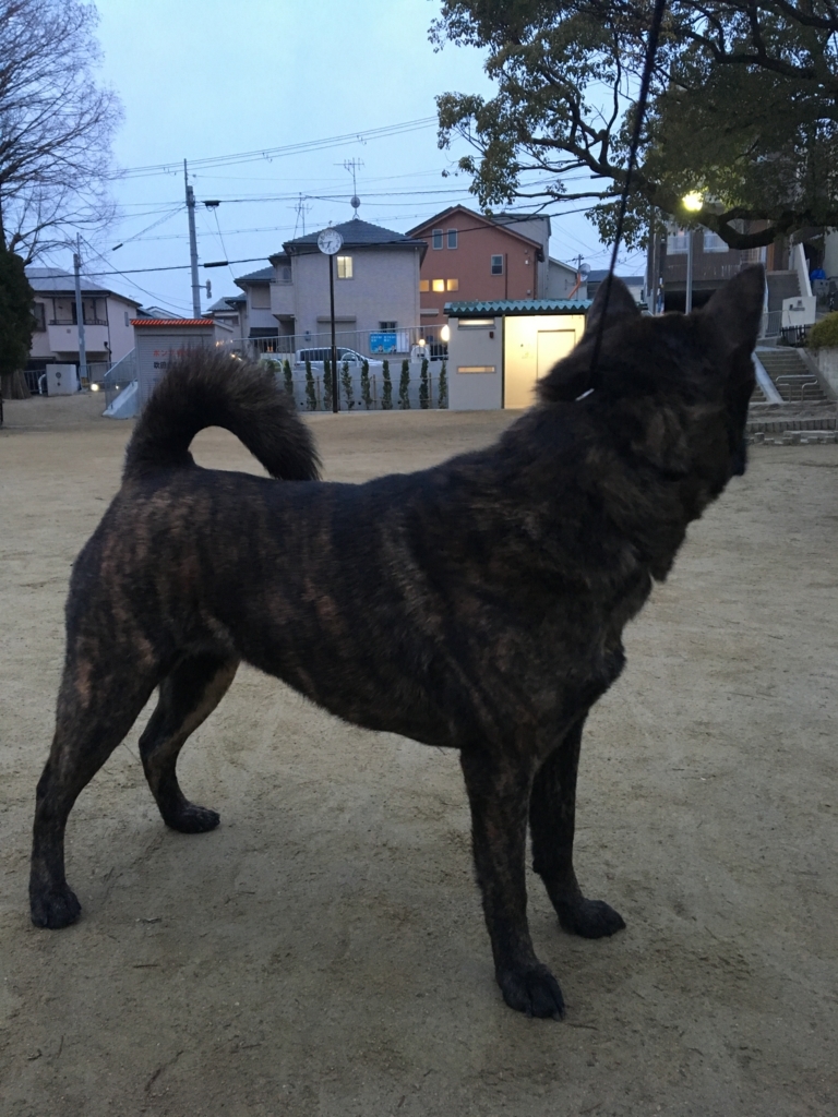 f:id:drunkard_kim:20180221075156j:plain