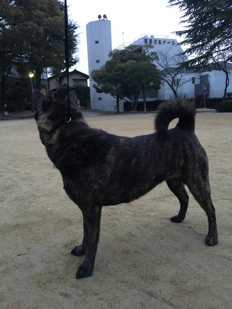 f:id:drunkard_kim:20180221080006j:plain