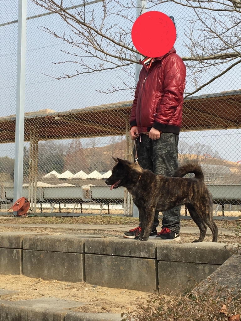 f:id:drunkard_kim:20180225111600j:plain