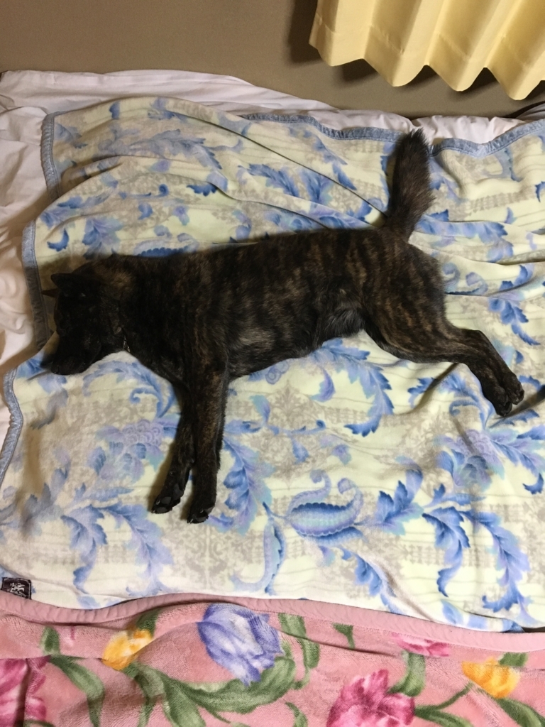 f:id:drunkard_kim:20180227115452j:plain