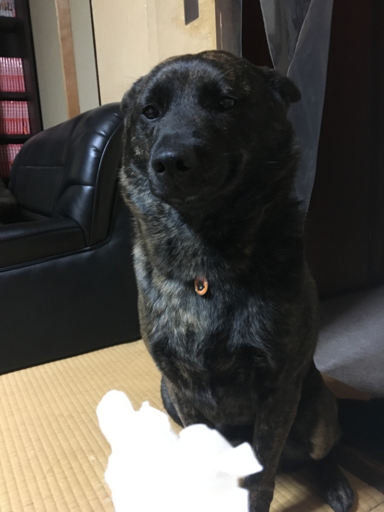f:id:drunkard_kim:20180304152753j:plain