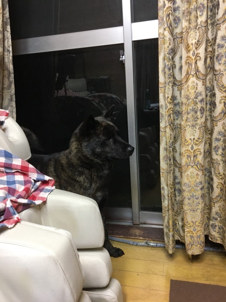 f:id:drunkard_kim:20180307080650j:plain