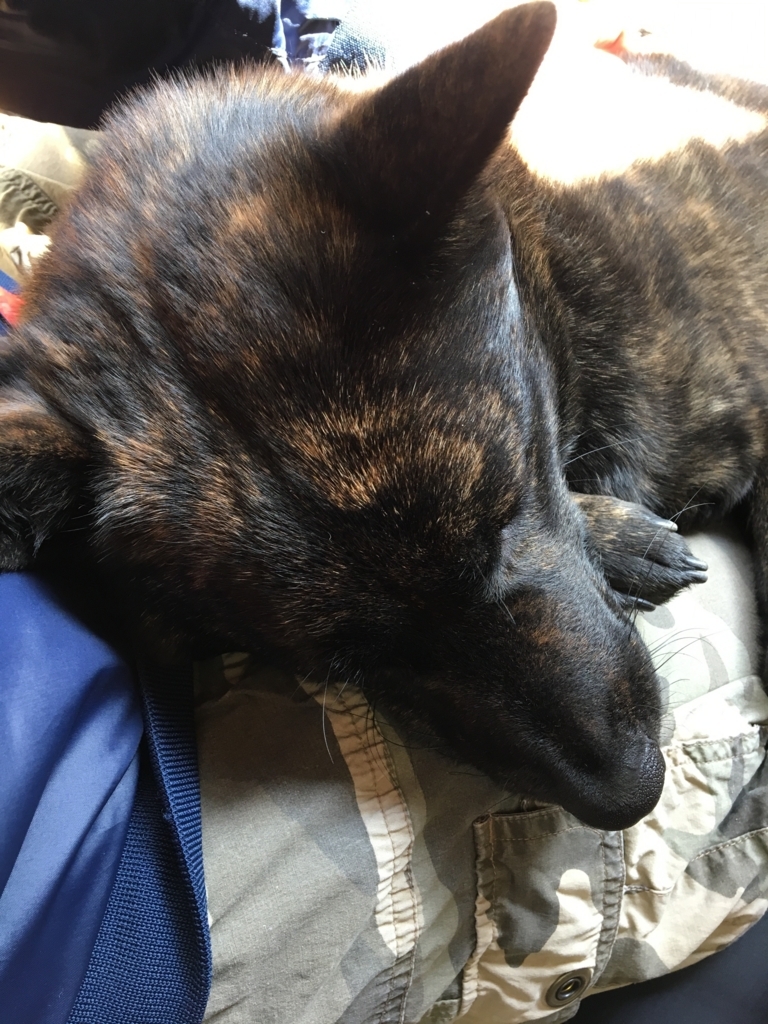 f:id:drunkard_kim:20180311152443j:plain