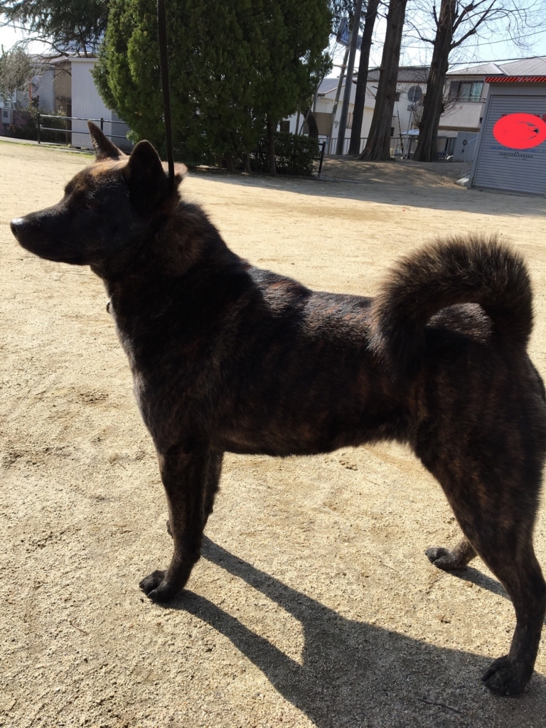 f:id:drunkard_kim:20180311153603j:plain