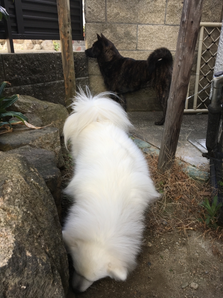 f:id:drunkard_kim:20180313154622j:plain