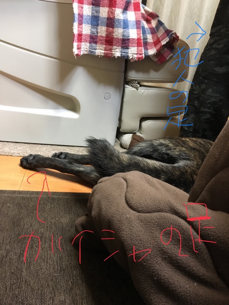 f:id:drunkard_kim:20180314075215j:plain